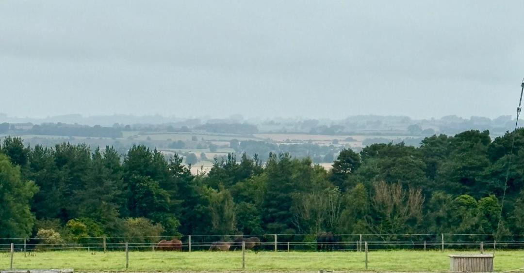 Photo of Others in Riding Mill