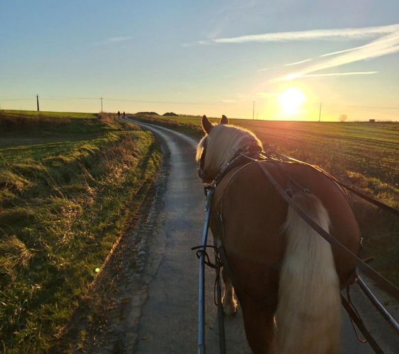 Photo of Others in Sablonnieres