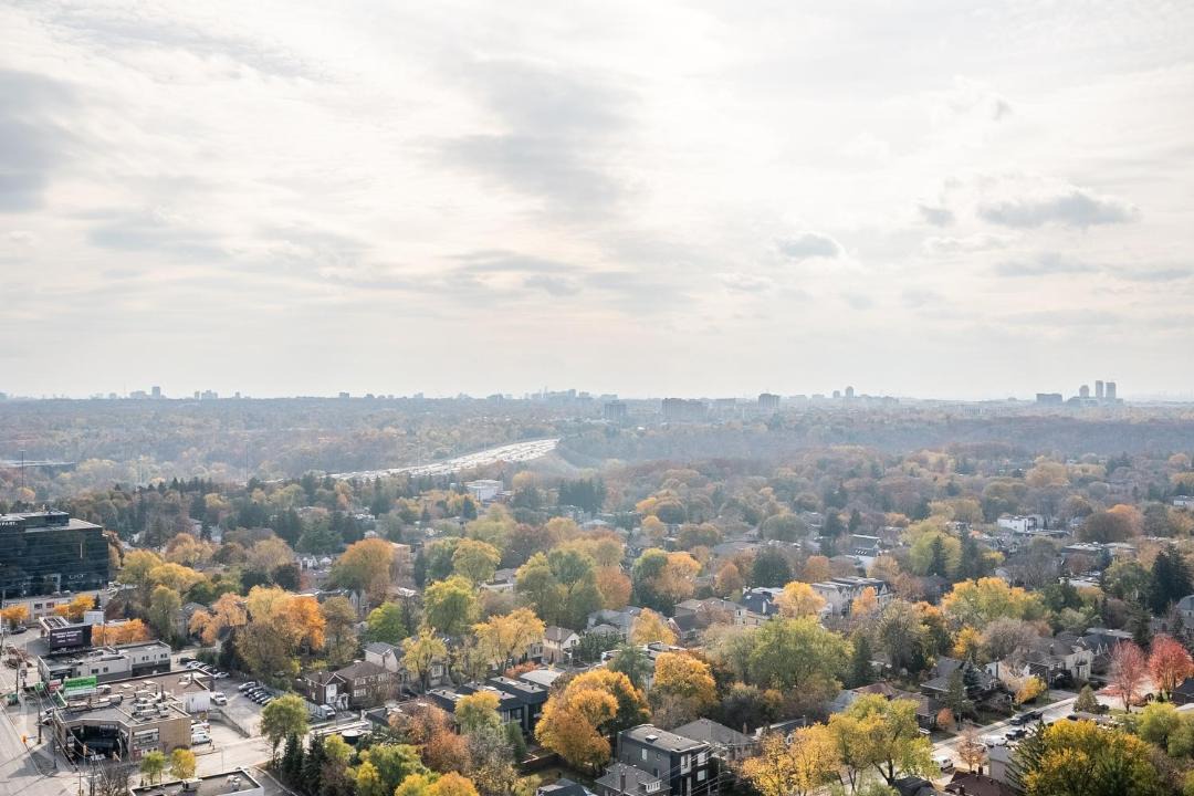 Photo of Others in Willowdale