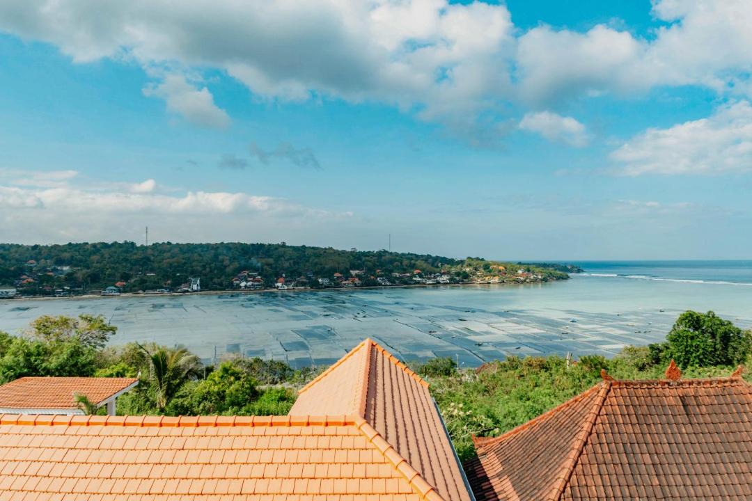 Photo of Others in Mushroom Bay