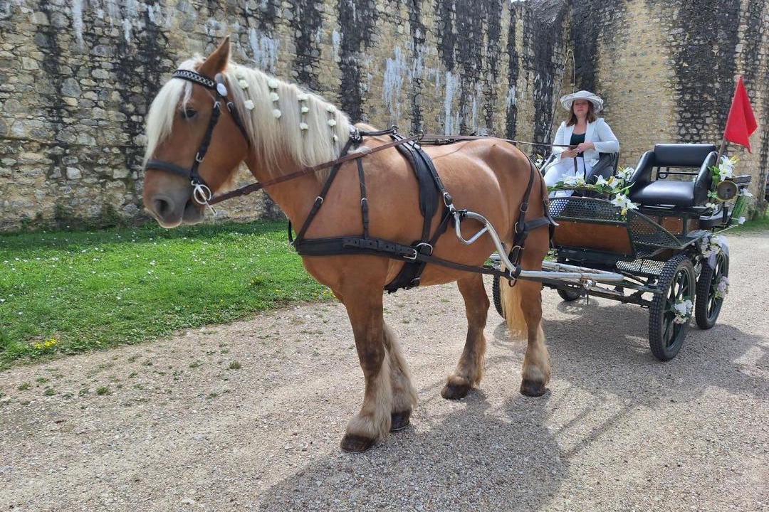 Photo of Others in Sablonnieres