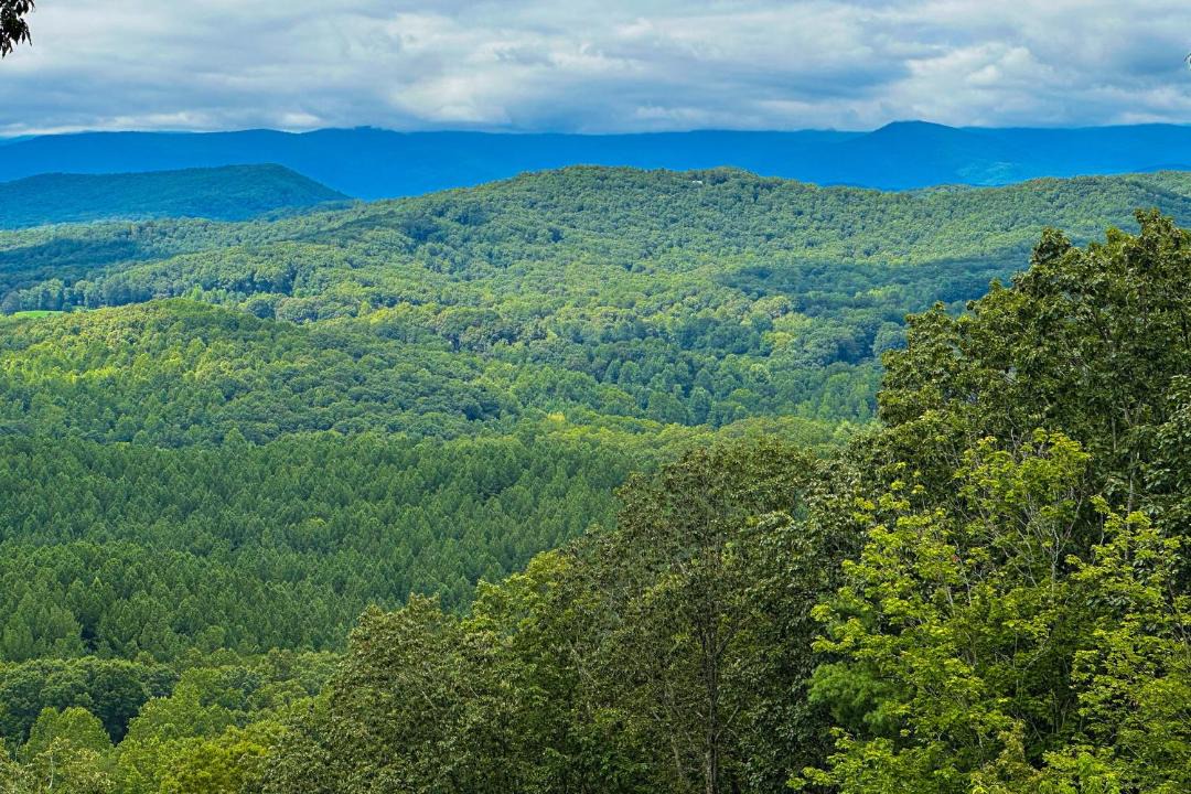 Photo of Others in Clarkesville