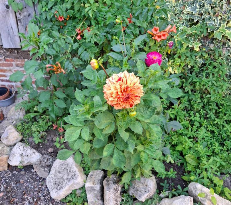 Photo of Outdoor in Le Mesnil-Mauger