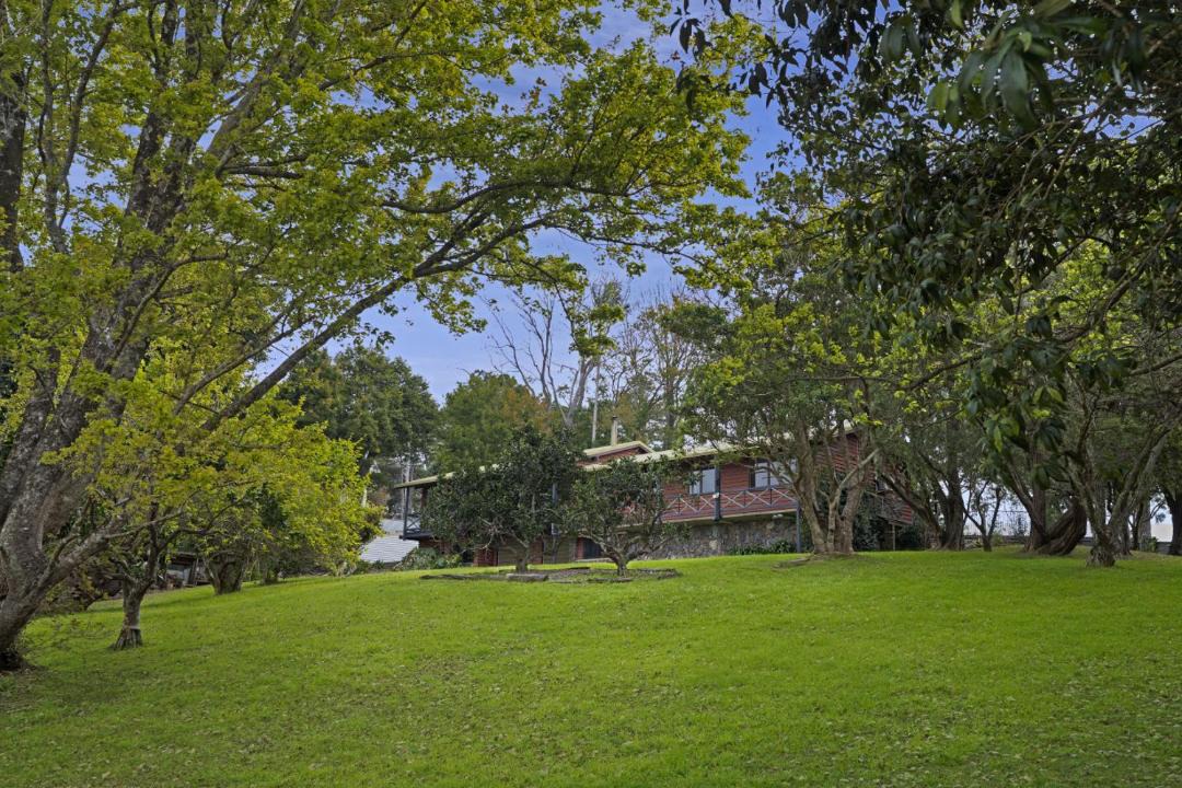 Photo of Others in Wootha