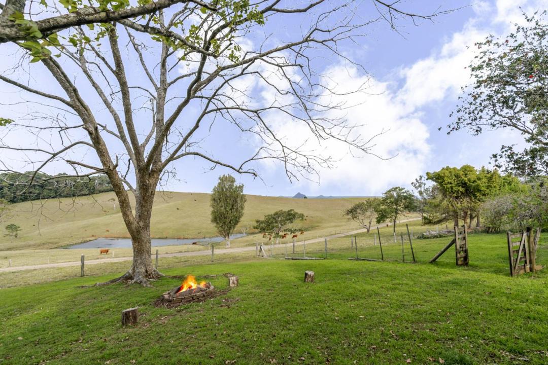 Photo of Others in Wootha