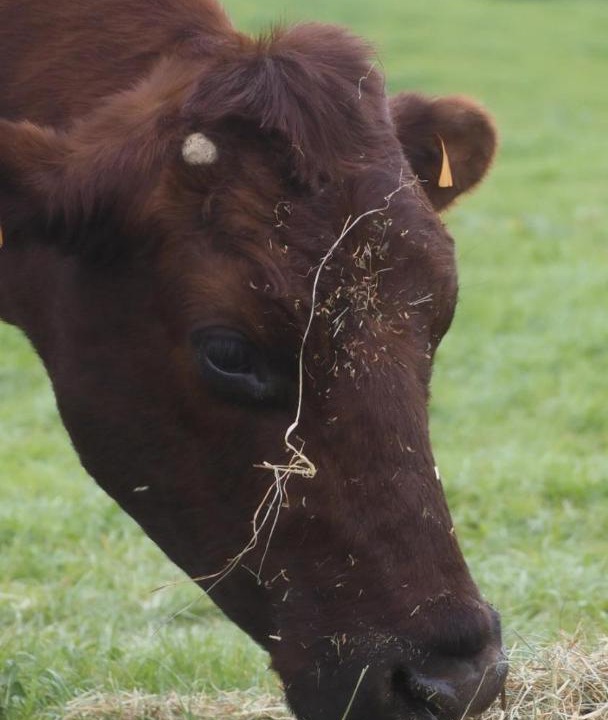 Photo of Others in Origny-en-Thierache