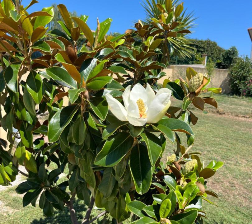 Photo of Others in Ventiseri