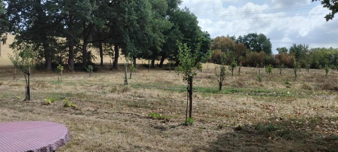 Photo of Others in Vielmur-sur-Agout