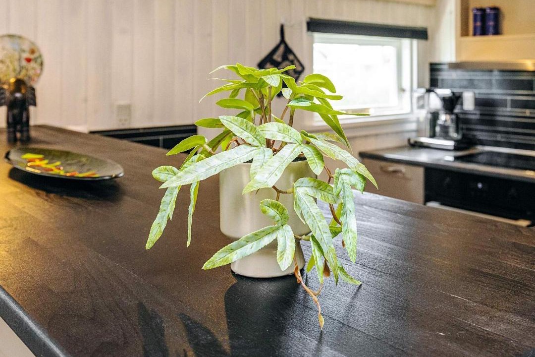 Photo of Kitchen in Vorupør