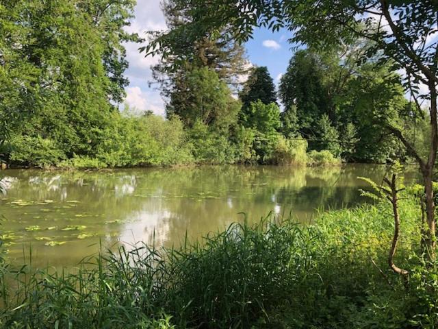 Photo of Others in Samois-sur-Seine