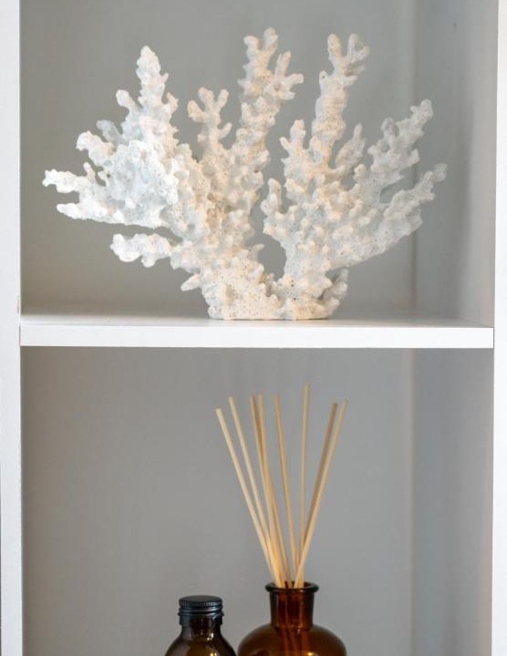 Photo of Others in Boscastle