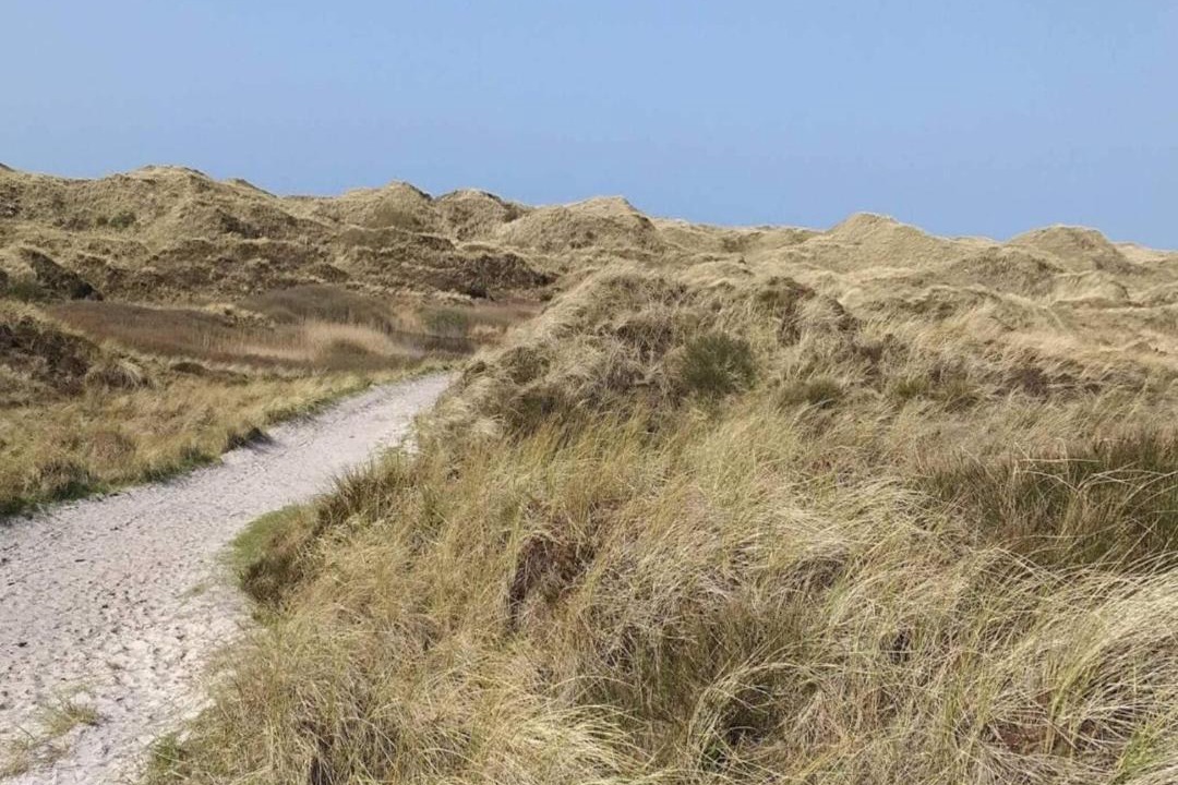 Photo of Others in Henne Strand