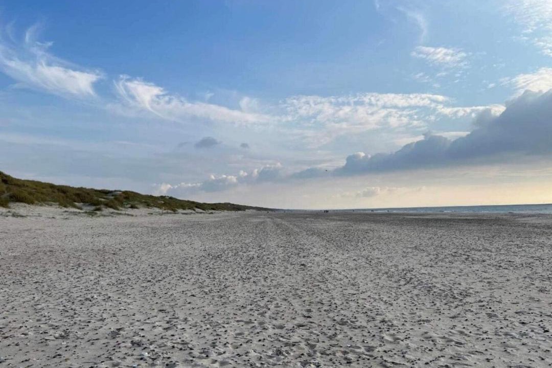 Photo of Others in Henne Strand