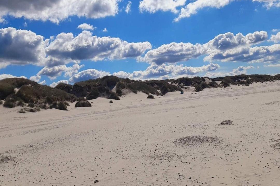 Photo of Others in Henne Strand