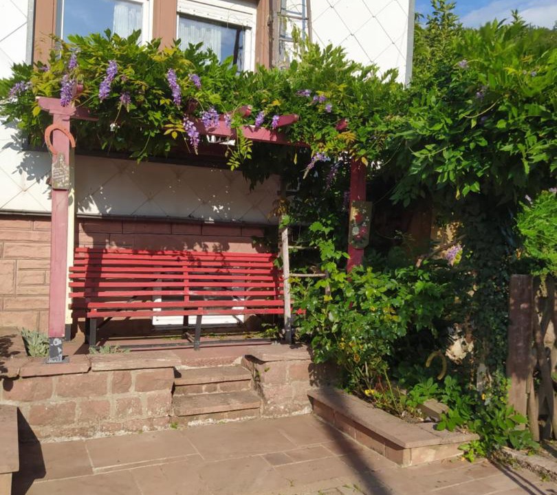 Photo of Others in Muhlbach-sur-Bruche