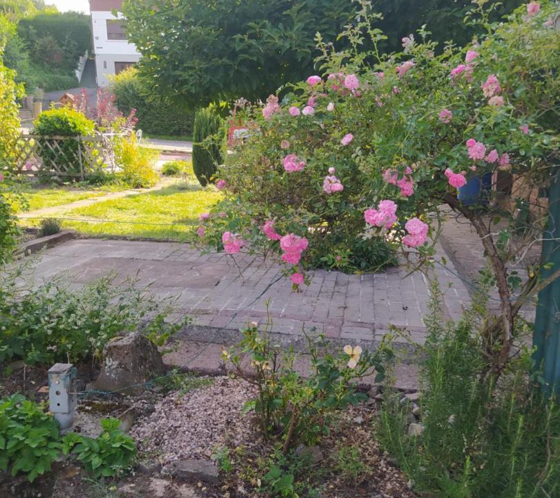 Photo of Outdoor in Muhlbach-sur-Bruche