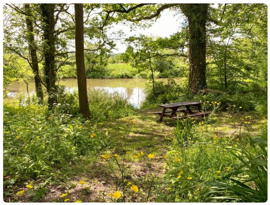 Photo of Others in Cranbrook