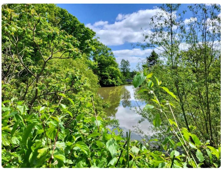 Photo of Others in Cranbrook