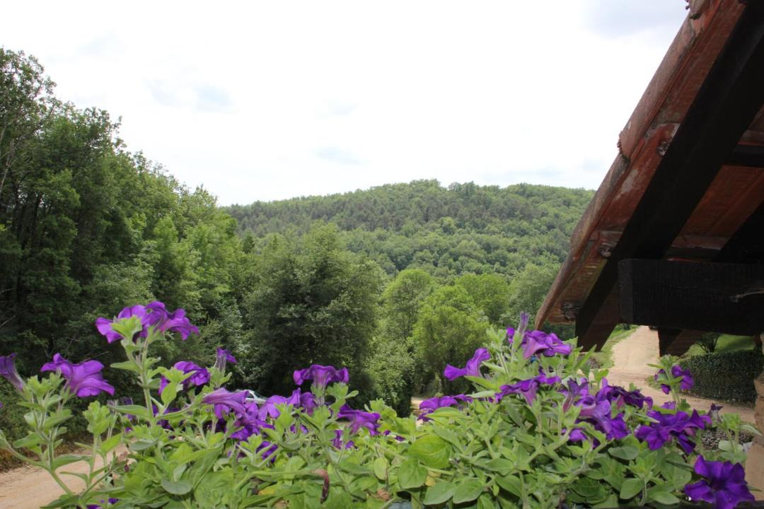 Photo of Others in Auriac-du-Perigord