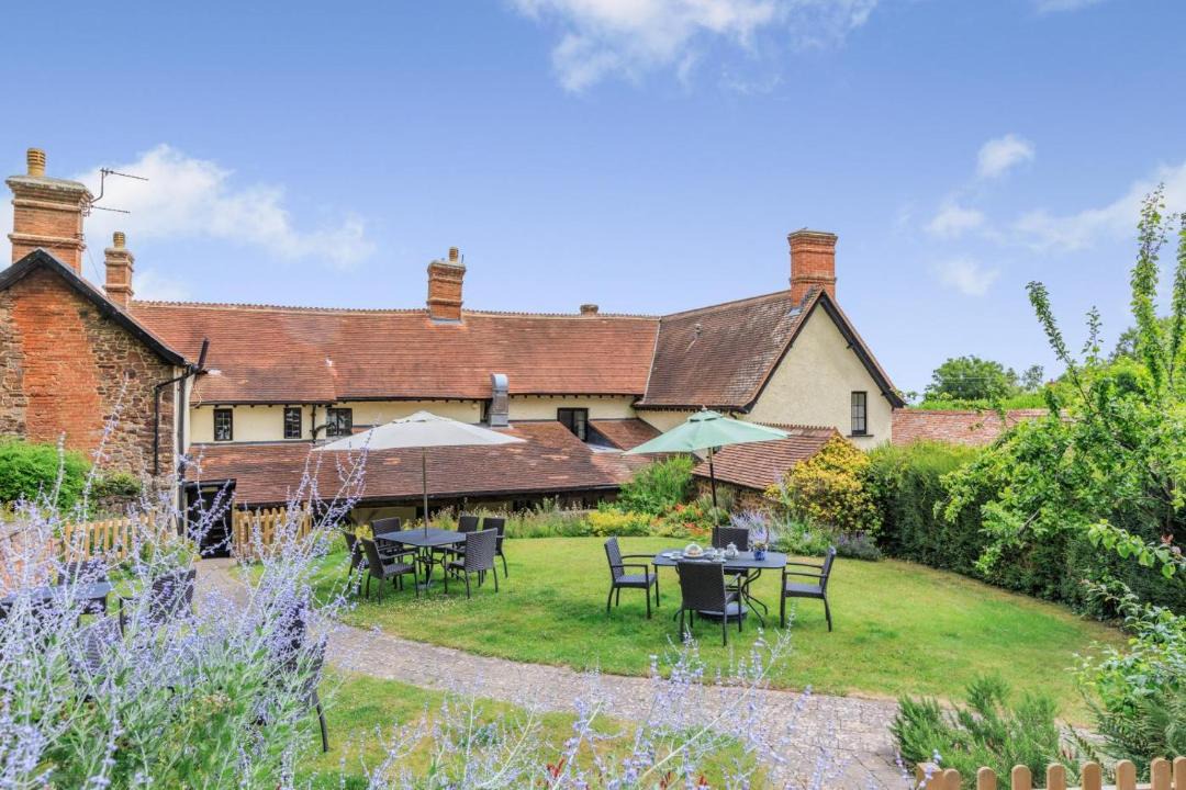 Photo of Others in Nether Stowey