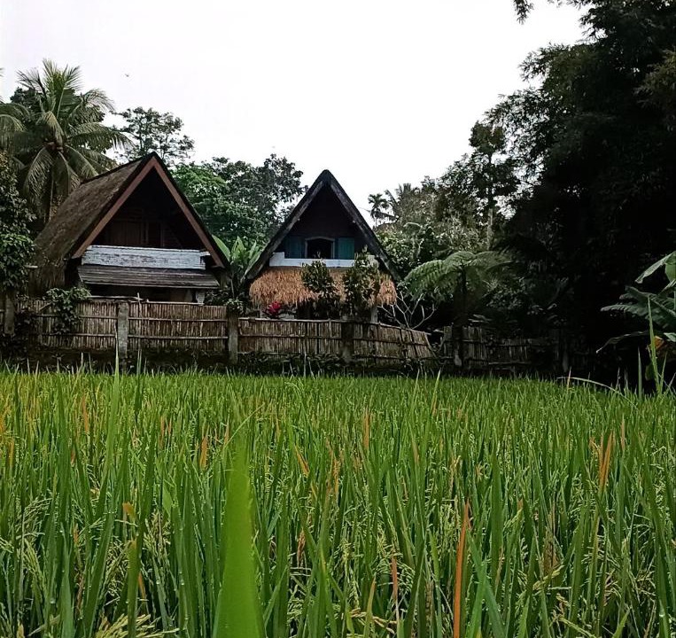 Photo of Others in Tetebatu