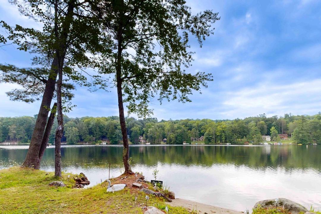 Photo of Others in Oakland