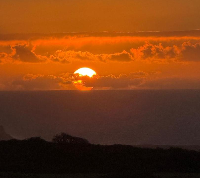 Photo of Others in Naalehu