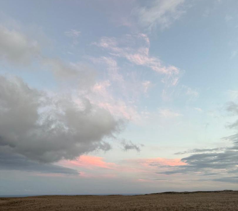 Photo of Others in Naalehu