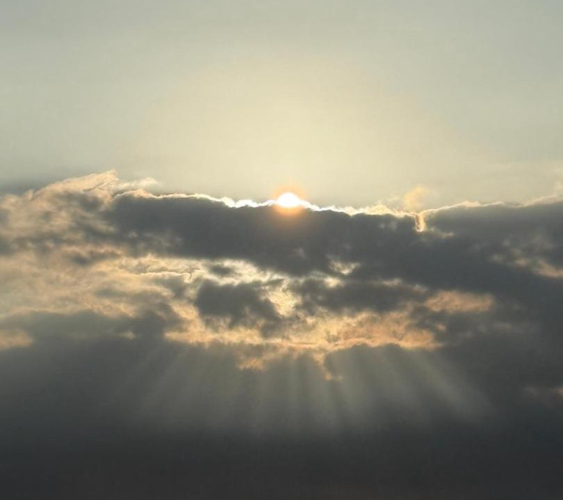 Photo of Others in Naalehu