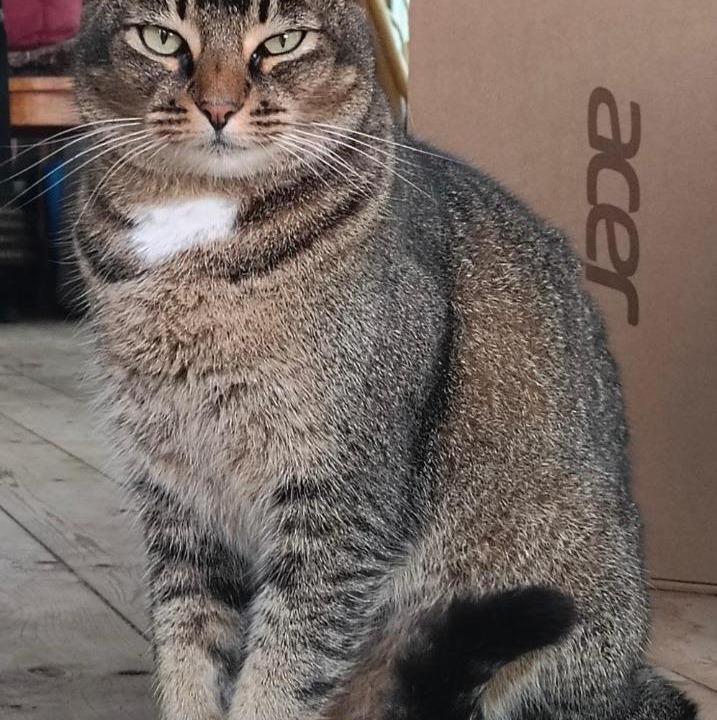 Photo of Others in Naalehu