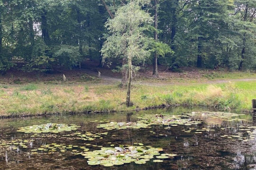 Photo of Others in Hovborg