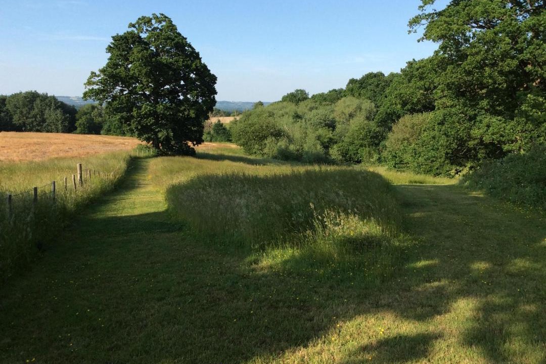 Photo of Others in Tonbridge