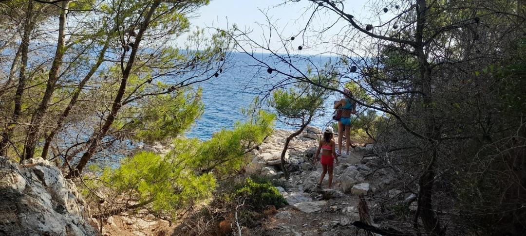 Photo of Others in Mljet