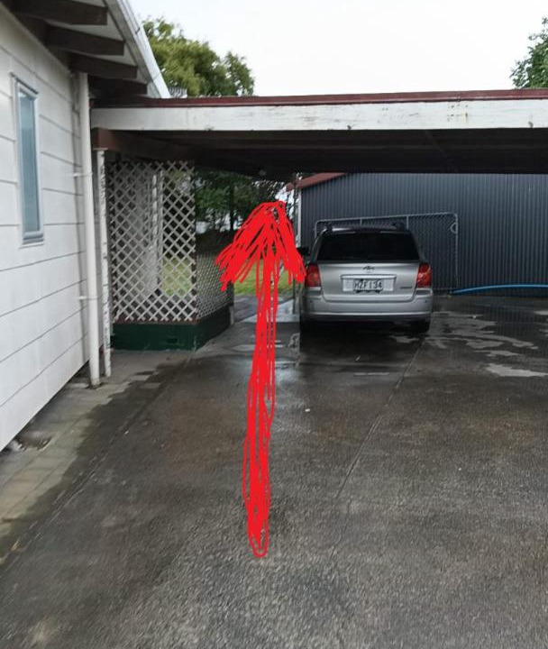 Photo of Others in Rotorua