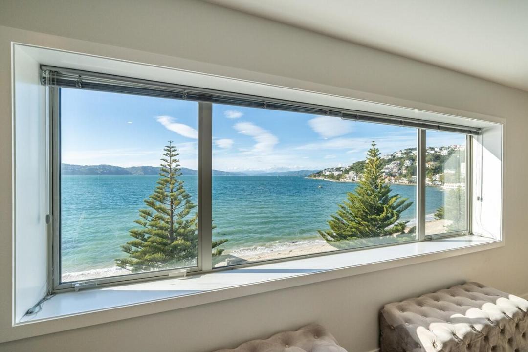 Photo of Others in Oriental Bay