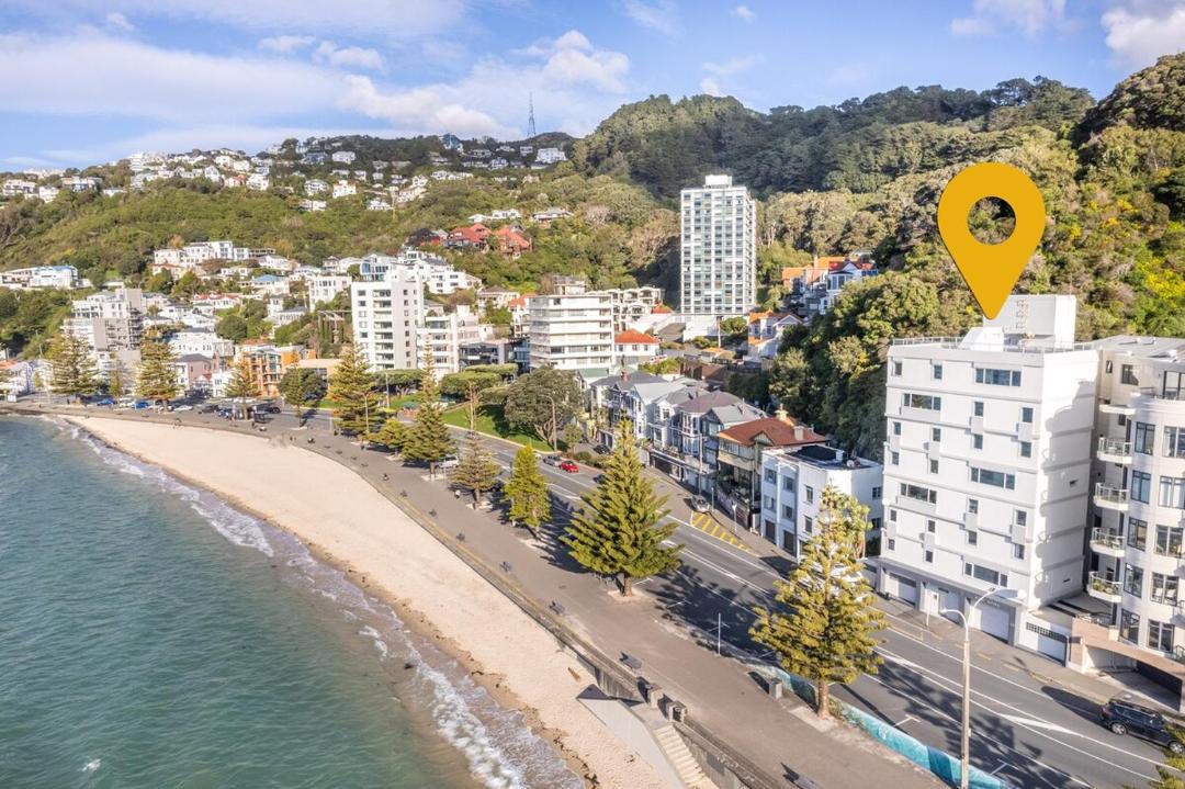 Photo of Others in Oriental Bay