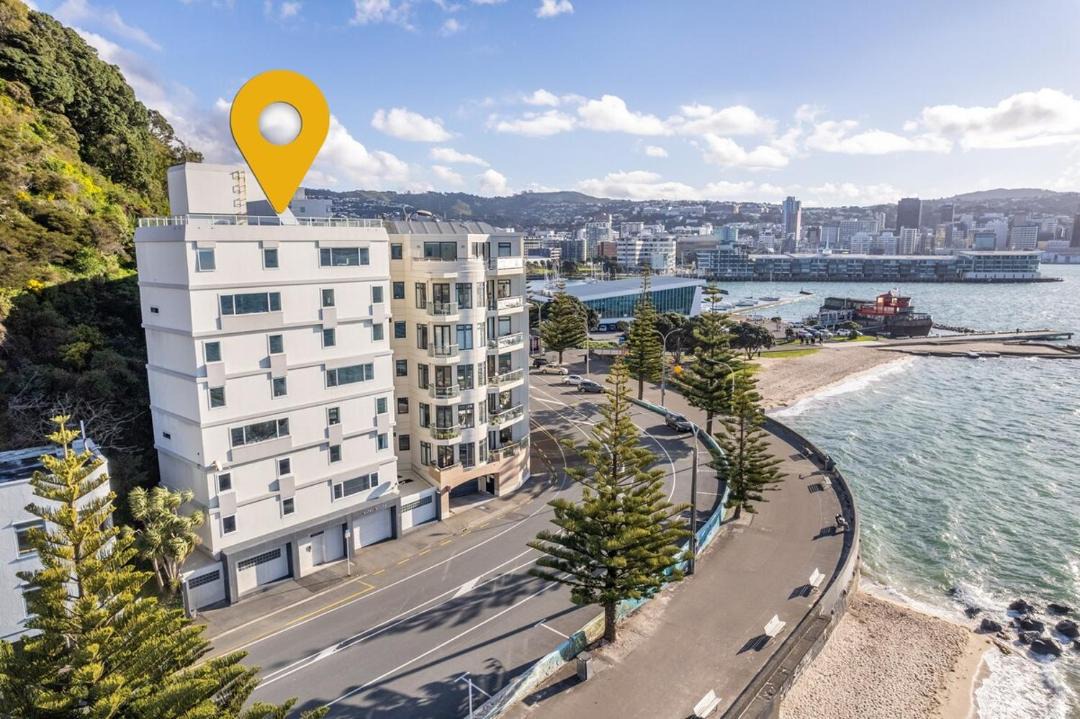 Photo of Others in Oriental Bay
