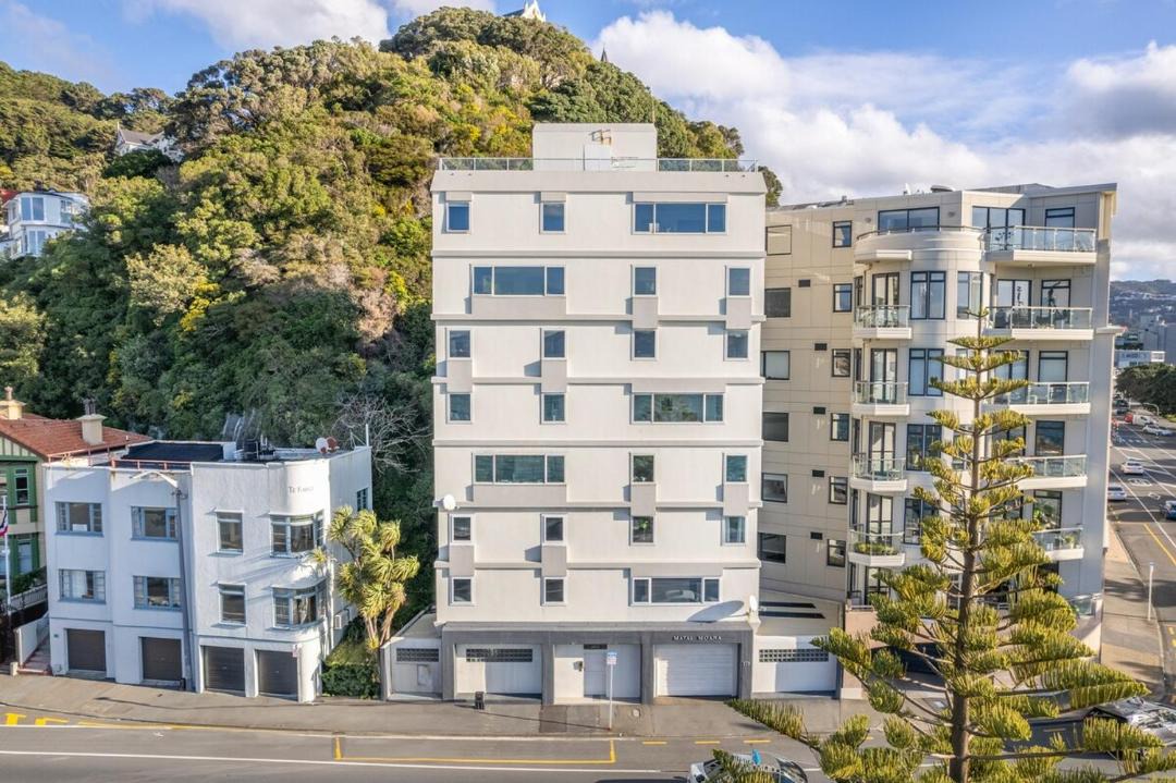 Photo of Others in Oriental Bay