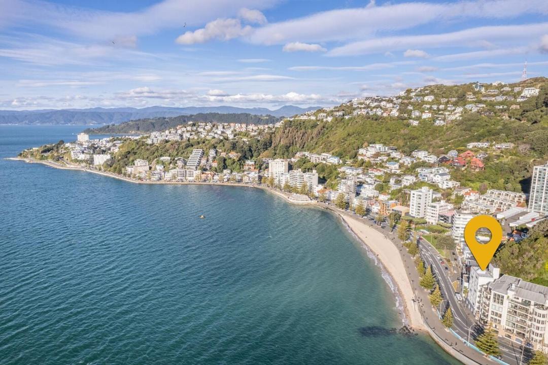 Photo of Others in Oriental Bay