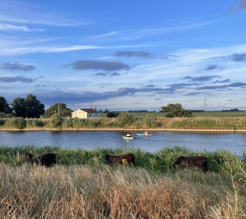 Photo of Others in Littleport