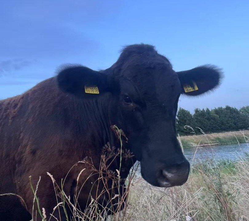 Photo of Others in Littleport