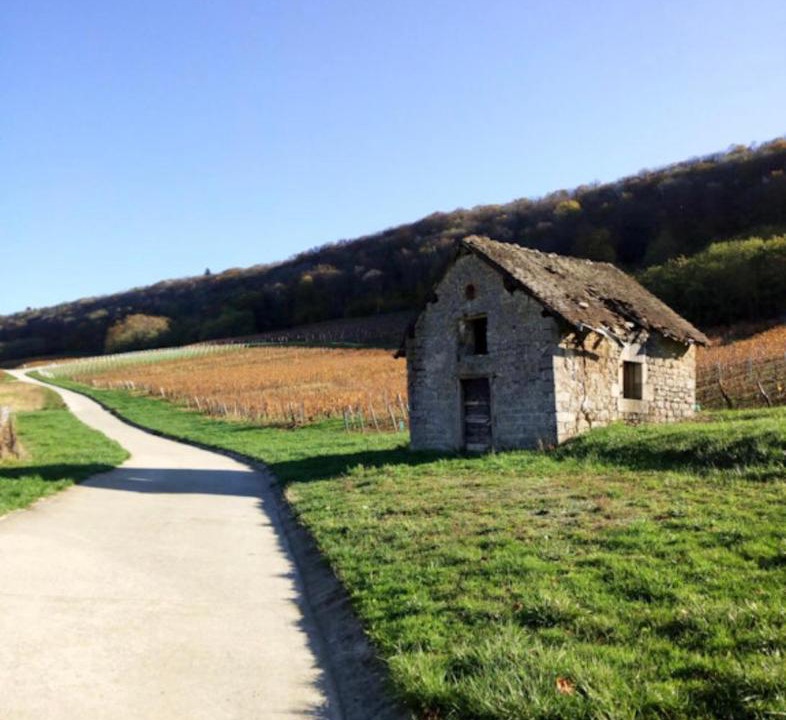 Photo of Others in Lavigny