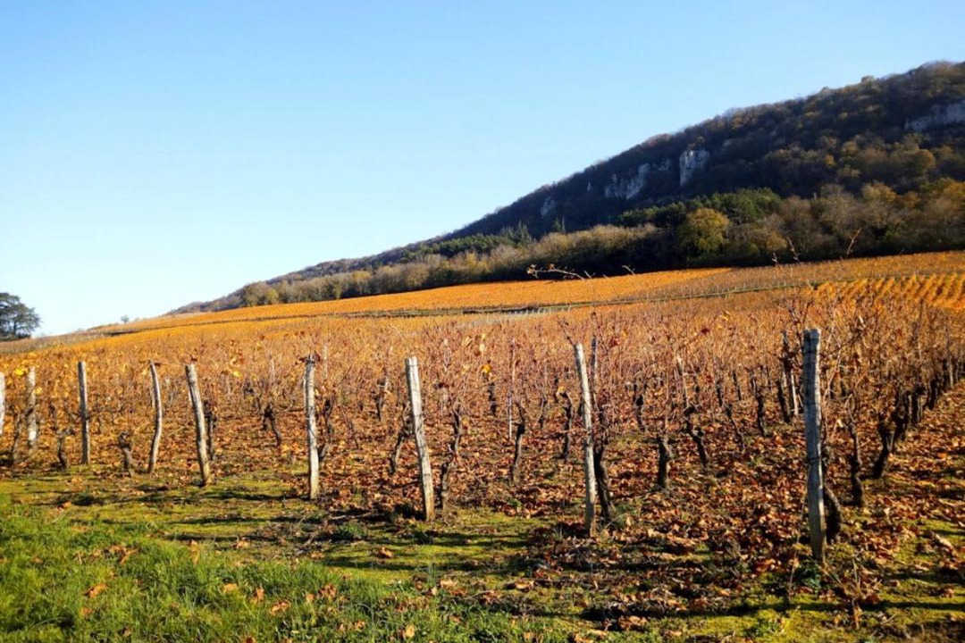 Photo of Others in Lavigny