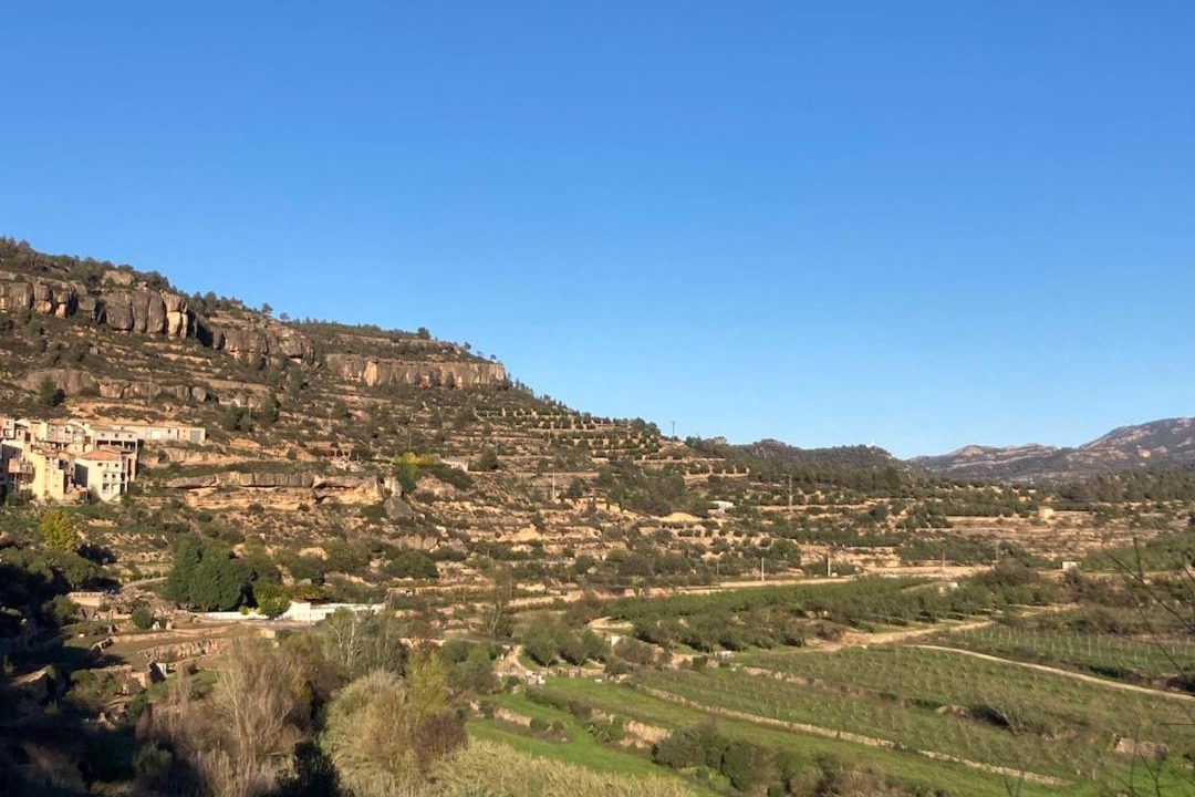 Photo of Others in La Bisbal de Falset