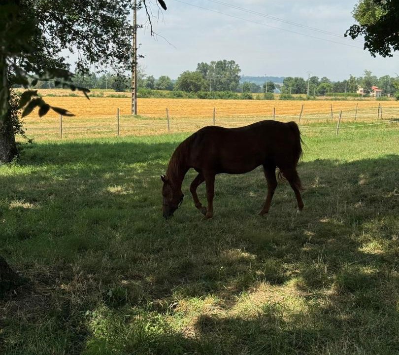 Photo of Others in Revel