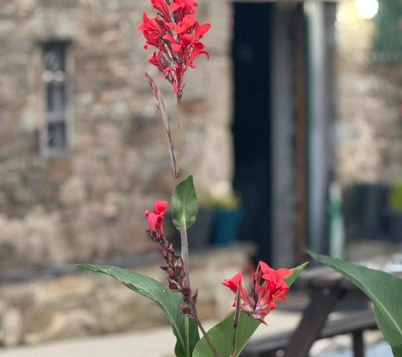 Photo of Others in Nicorps