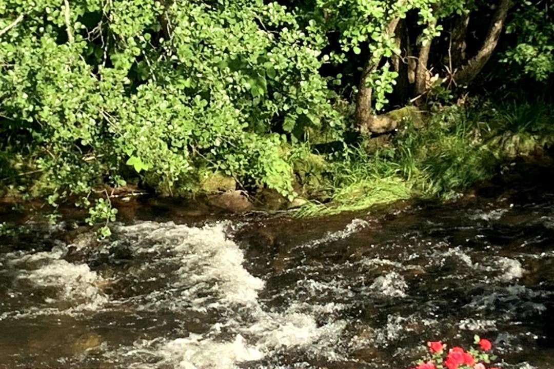 Photo of Others in La Broque