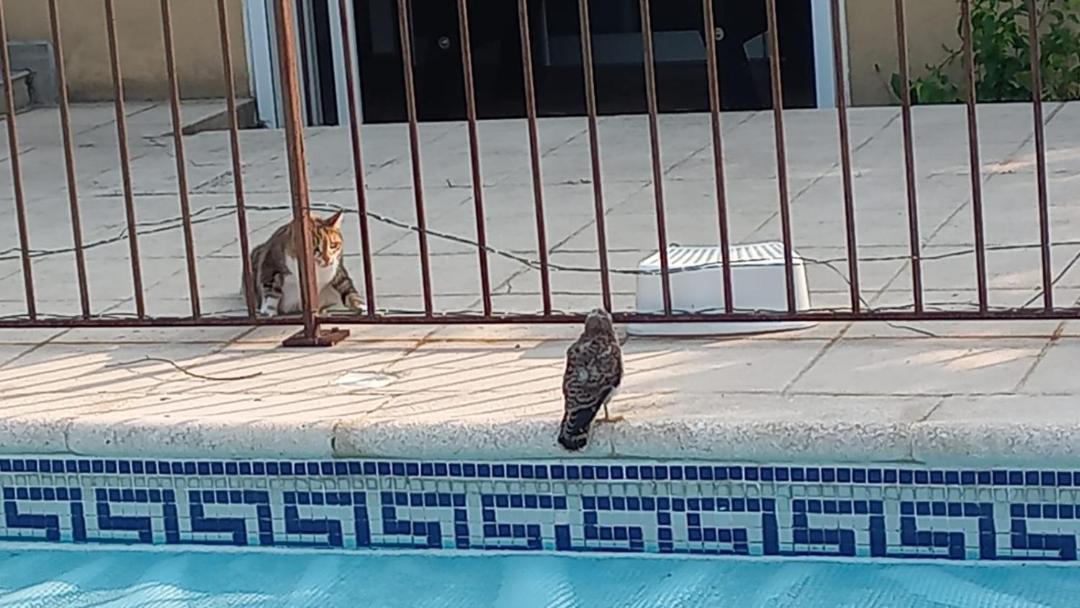 Photo of Others in Ledignan