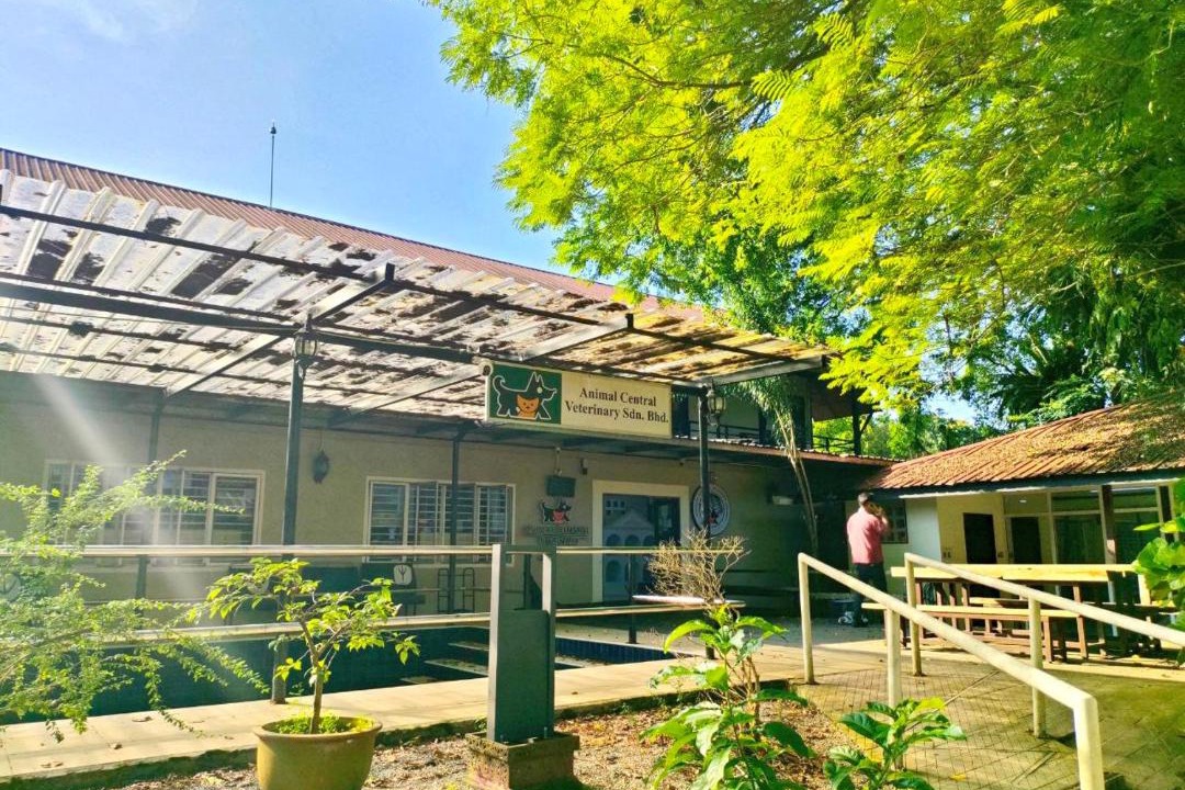 Photo of Others in Kuching