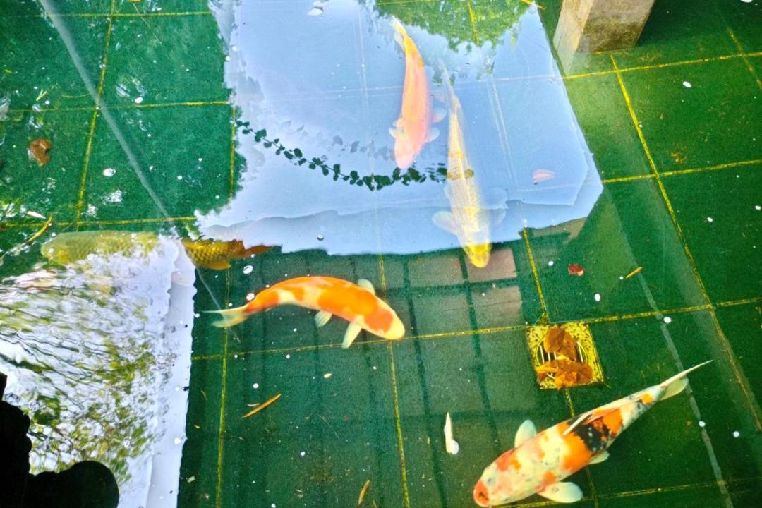 Photo of Others in Kuching